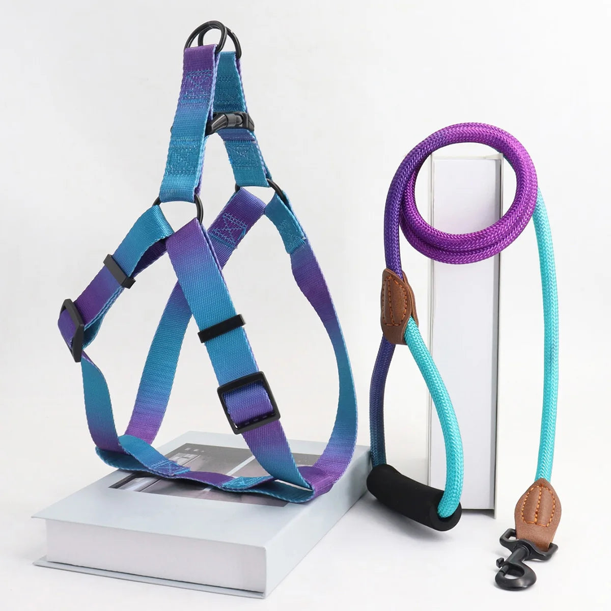 A set of colorful pet harness with leash