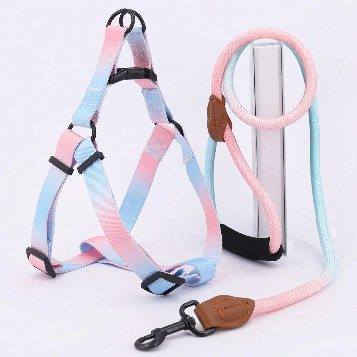 A set of colorful pet harness with leash