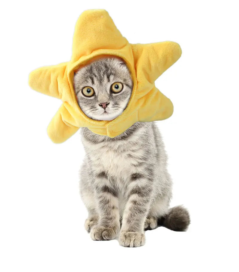 Christmas Festival Pet Hat