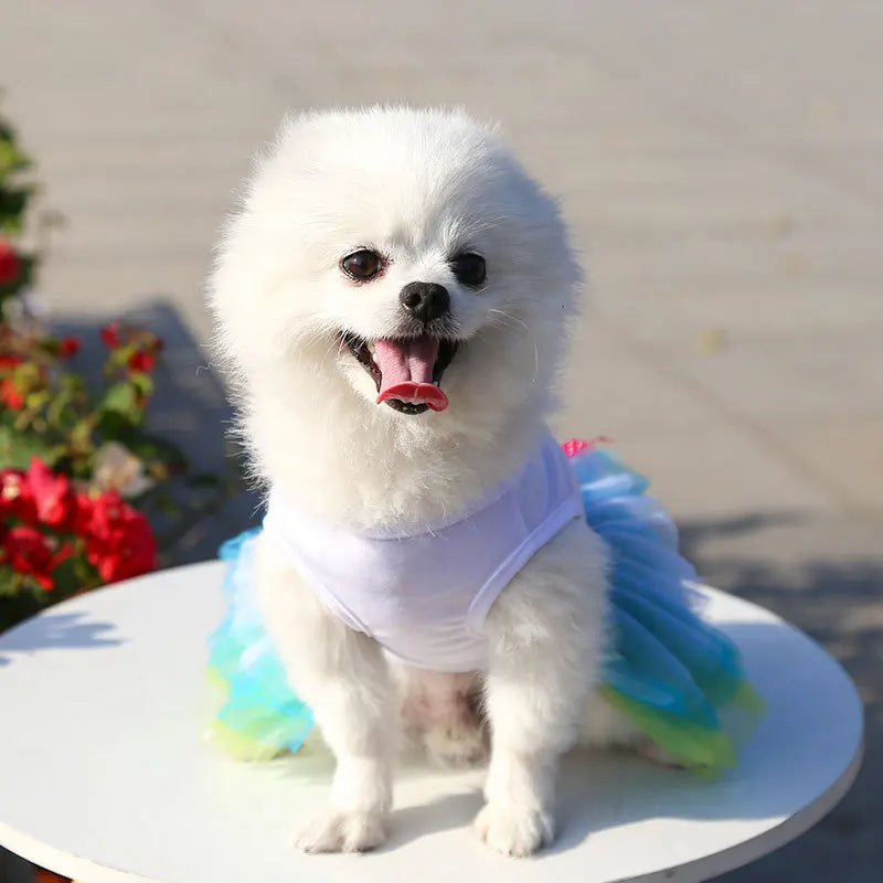 Spring Dog Lace Dress