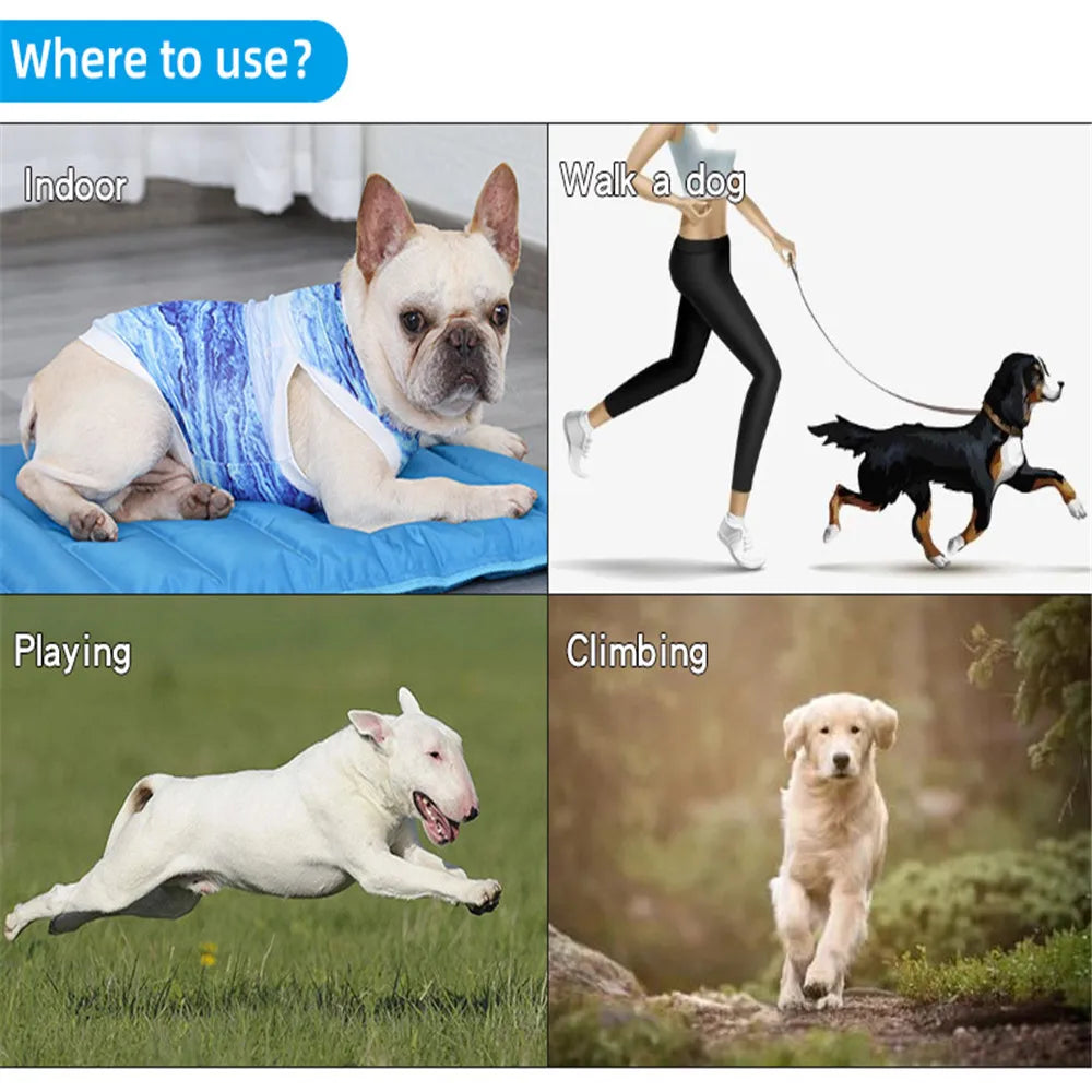 Dog Cooling Vest Summer