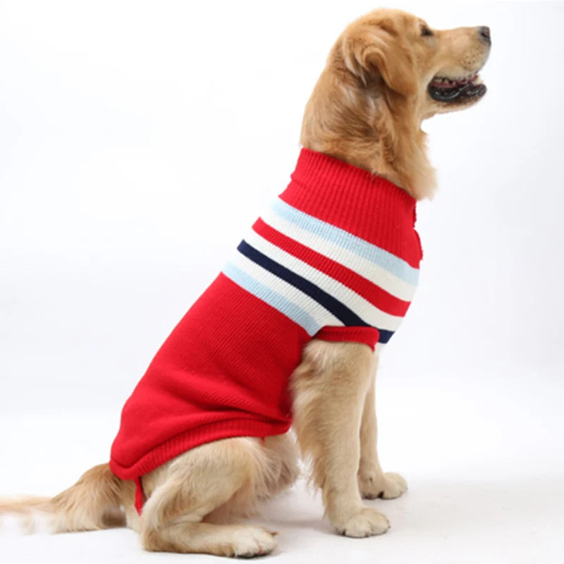 Big Dog Sweater Winter Warm