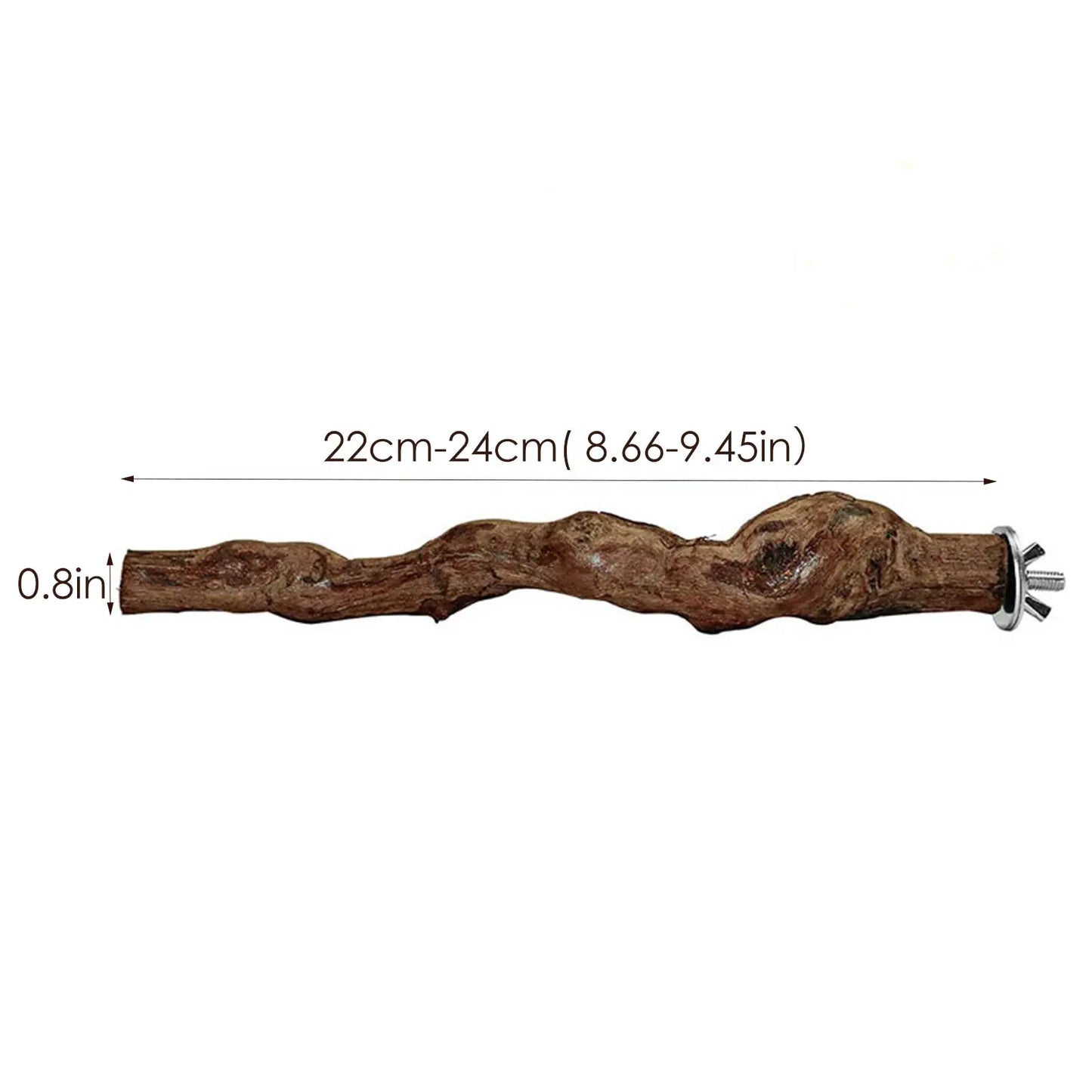 Pet Parrot Bird Standing Stick