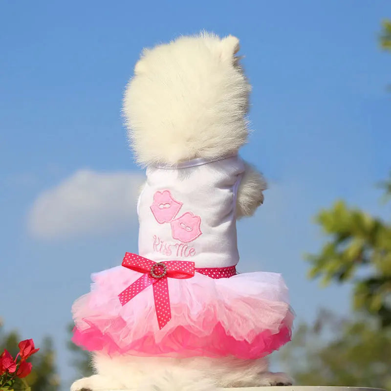 Spring Dog Lace Dress