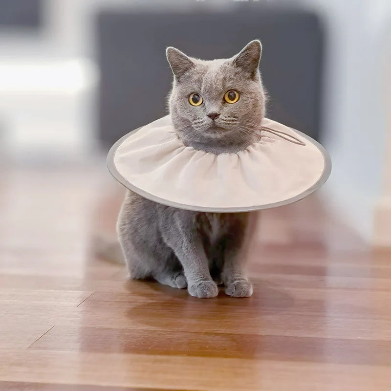 Pet Neutering Care Collar