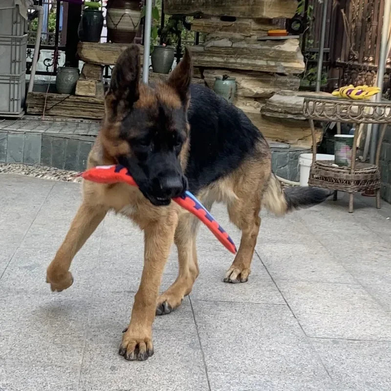 Dog Squeaky Toys