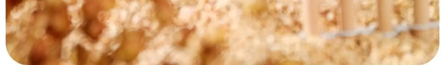 Secret Garden Series Natural Hamster Bedding