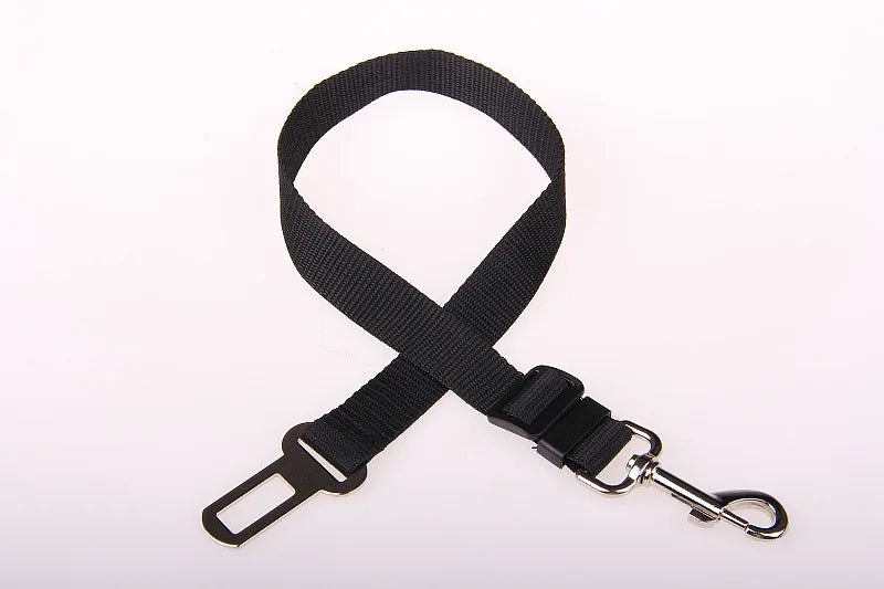 Car Seat Belt Buckle