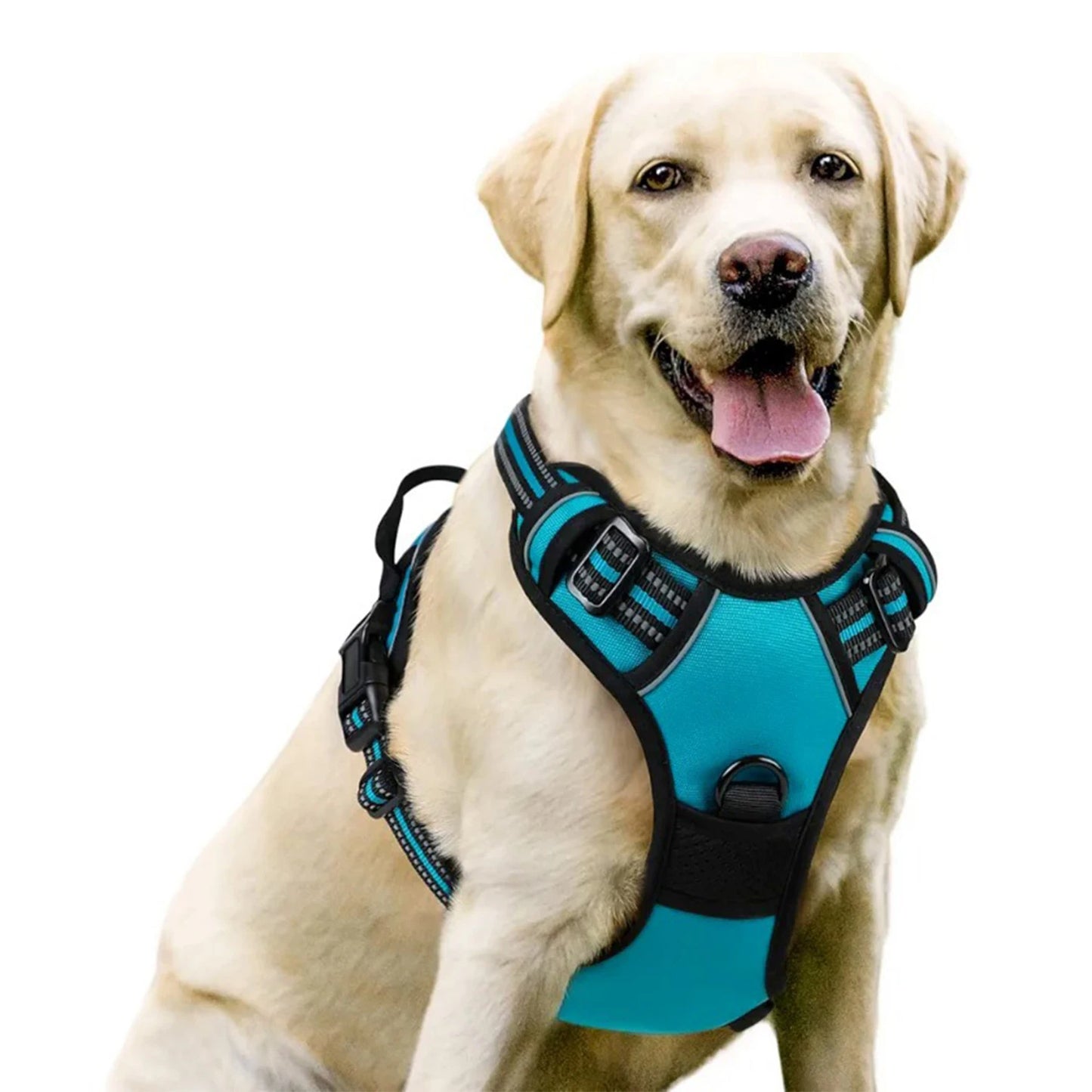 Dog Harness No Pull