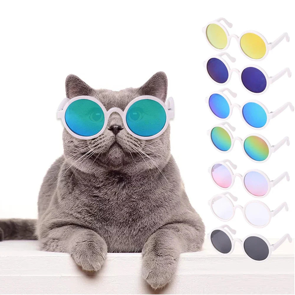 Pet Accessories Cat Glasses