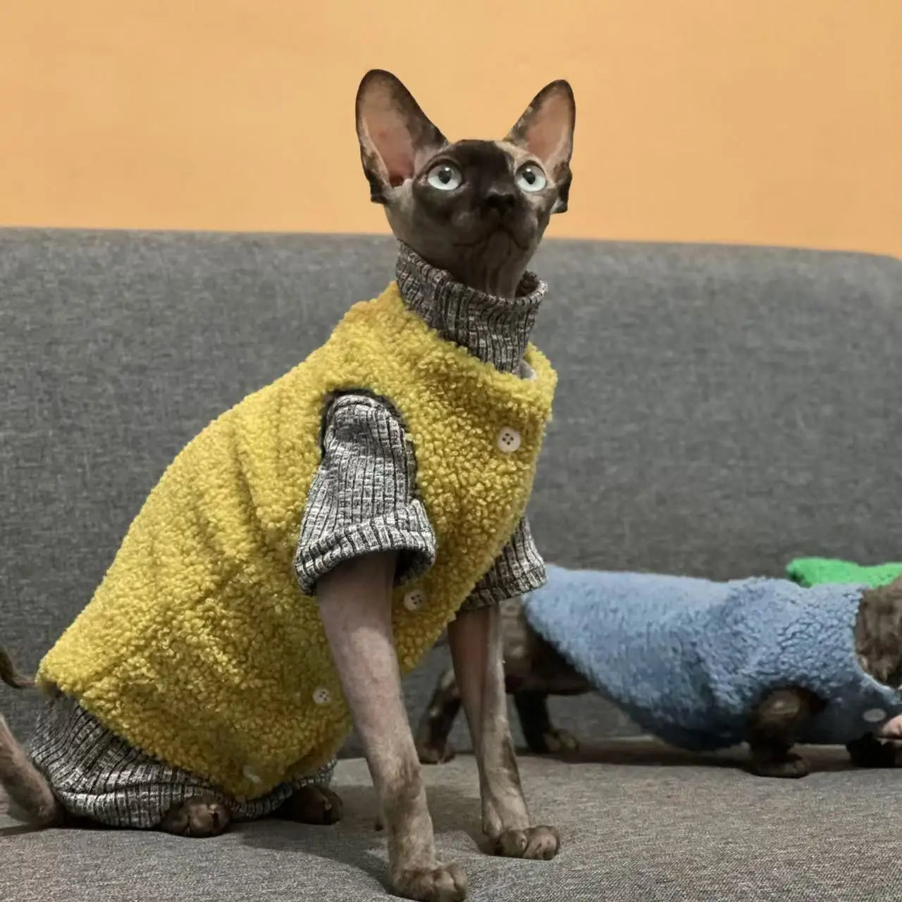 Cat clothes, warm lamb wool vest,