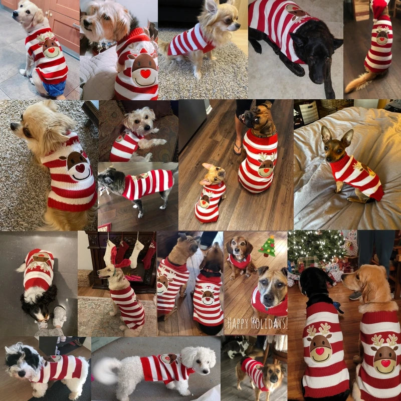 Dog Sweater Christmas Winter Warm