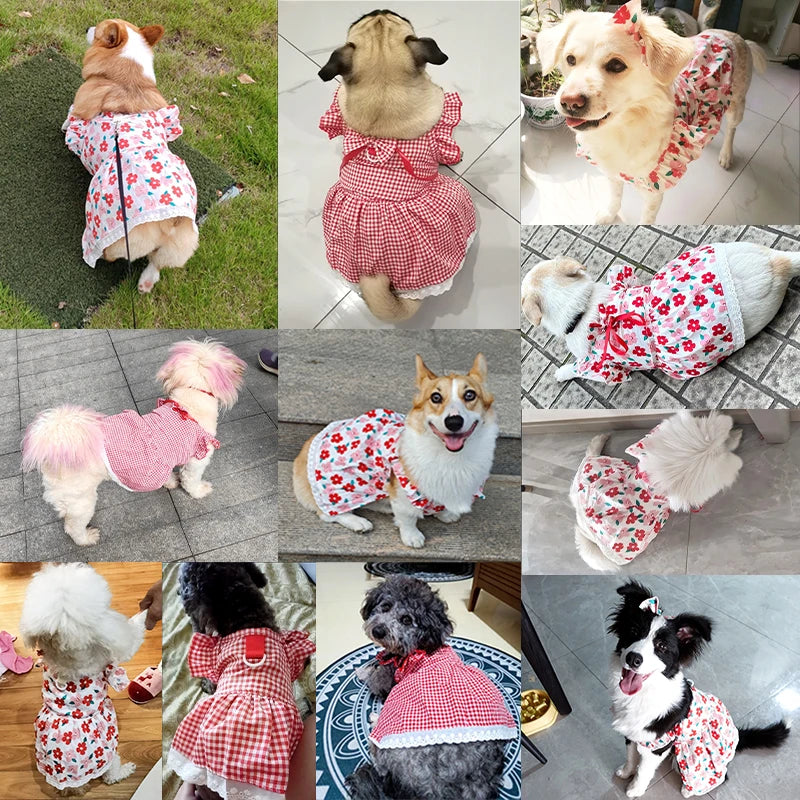 Summer Pet Dress