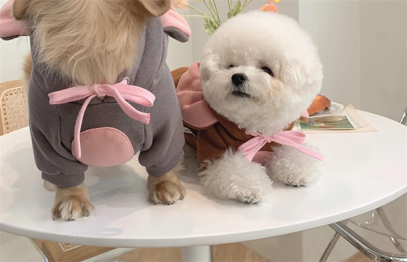 Autumn Winter Pet Cat Sweatshirt