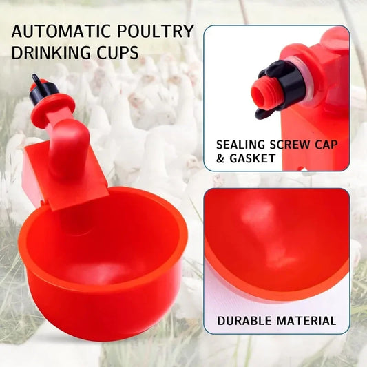 10/20/30Pcs Chicken Water, food cups