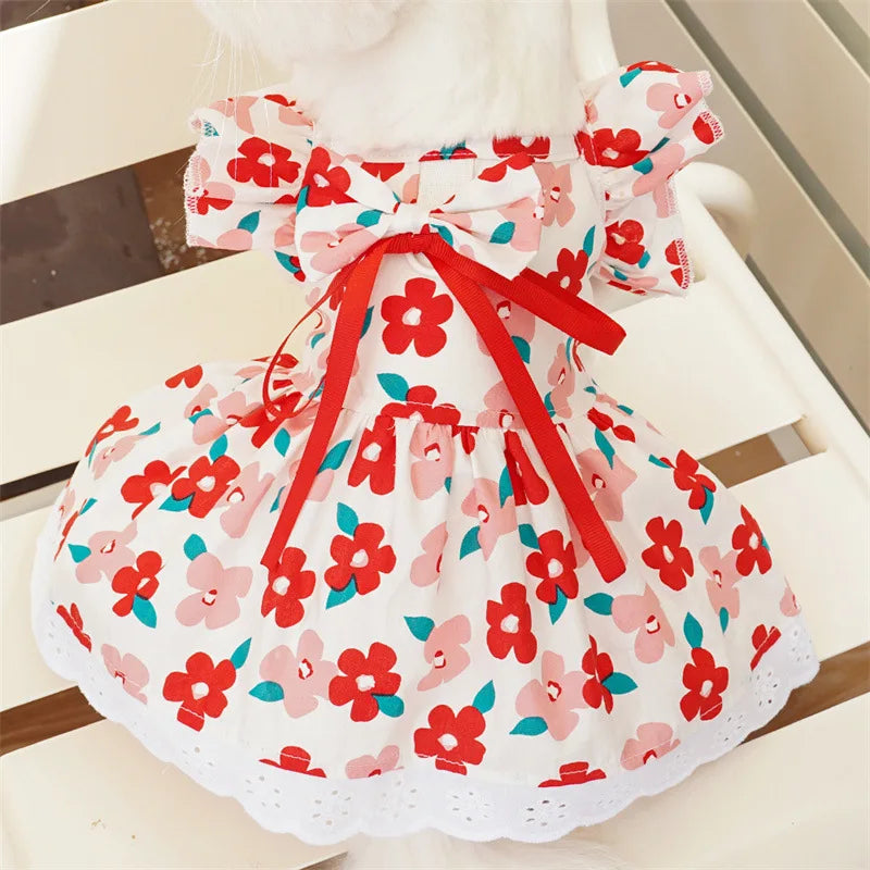 Summer Pet Dress
