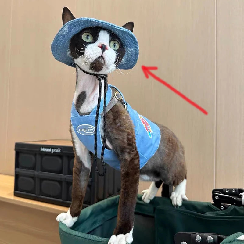 Fashion Cat hat Summer Sun Hats for Sphynx Kittens Open Ears Blue Cowboy Hats Adjustable Cap Cord for Devon Rex Cat Supplies