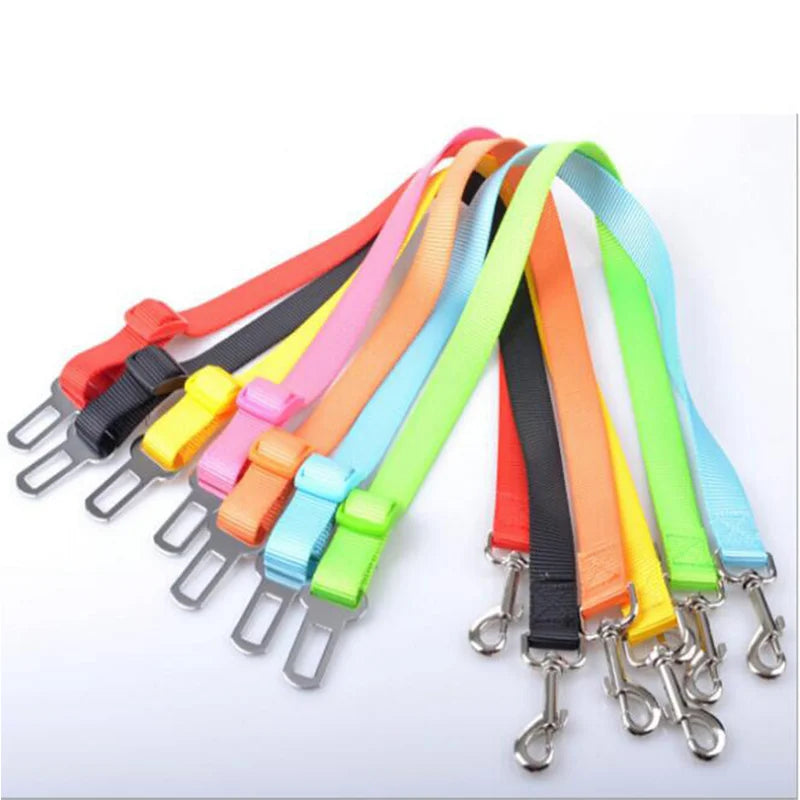Car Seat Belt Buckle