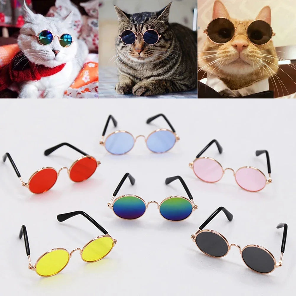 Pet Accessories Cat Glasses