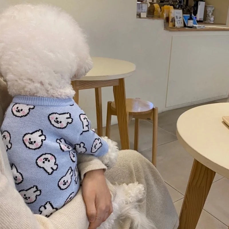 Winter Dog Sweater for Small Dogs