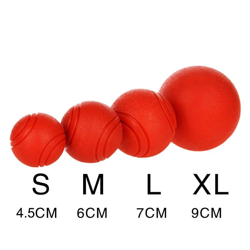 Indestructible Chew Proof Rubber Ball