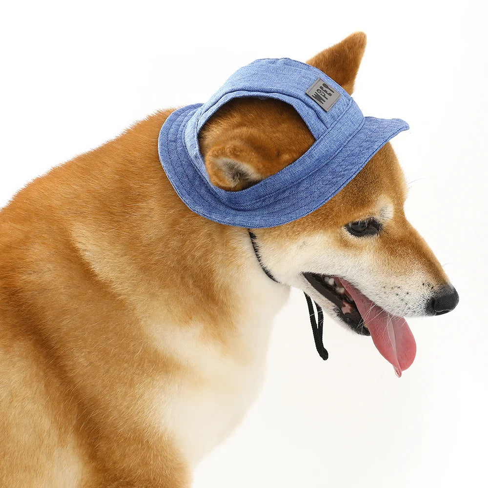 Dog Hat with Ear Holes