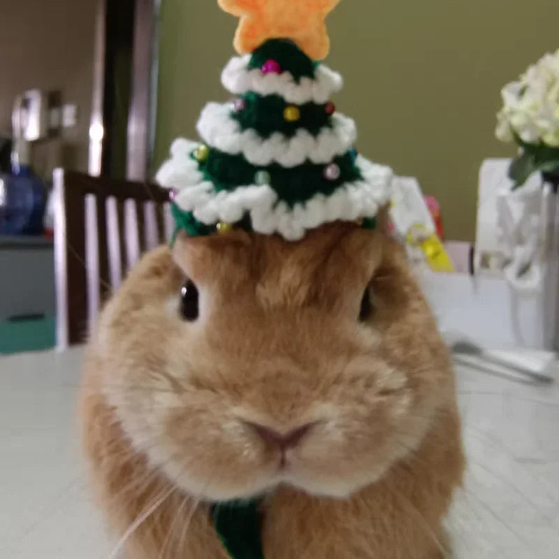 Hamster Christmas Costume