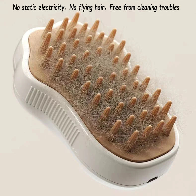 Cat Steam Brush