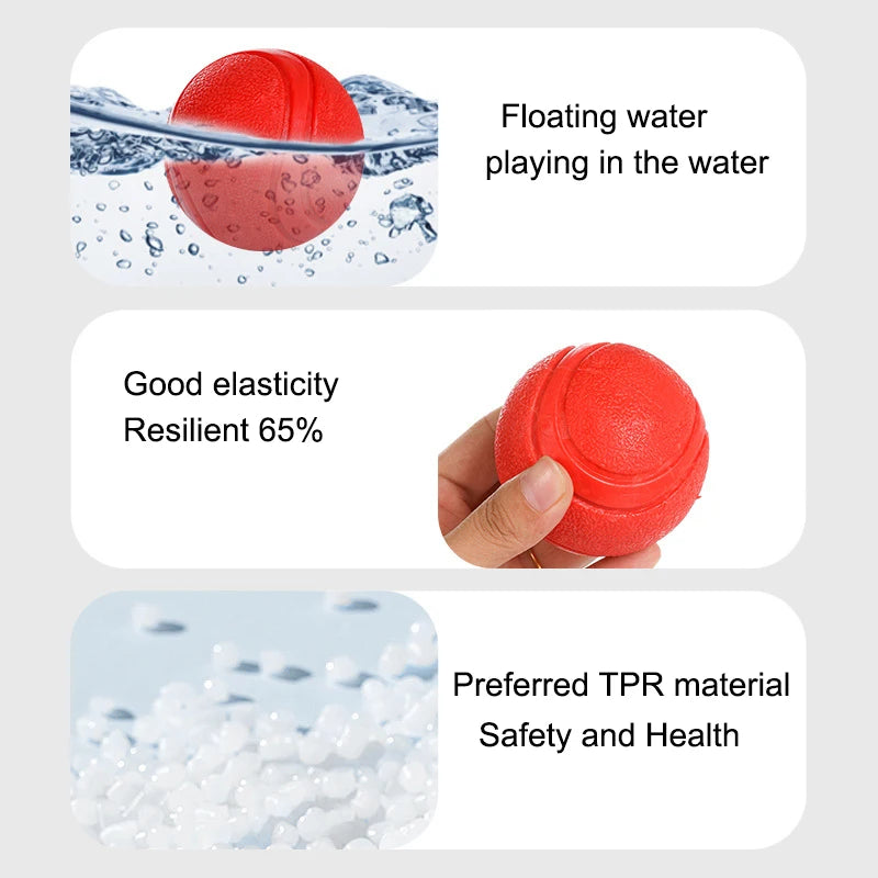 Indestructible Chew Proof Rubber Ball