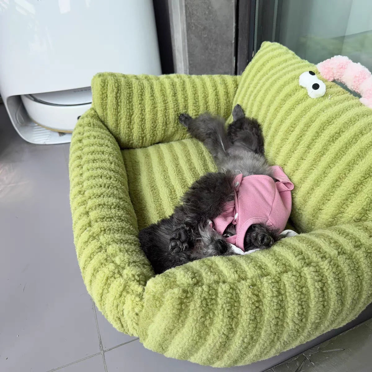 Puppy special sofa