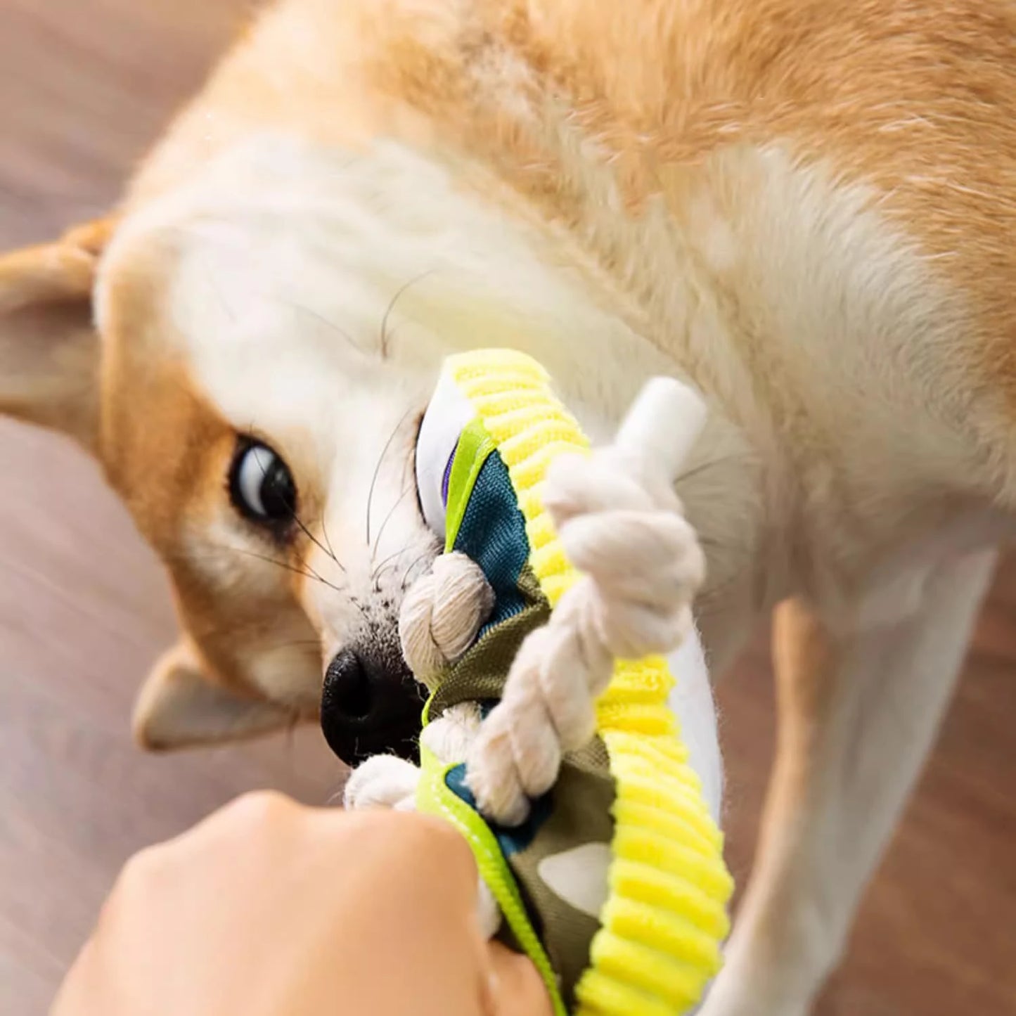 Chew Toy for Active Dogs