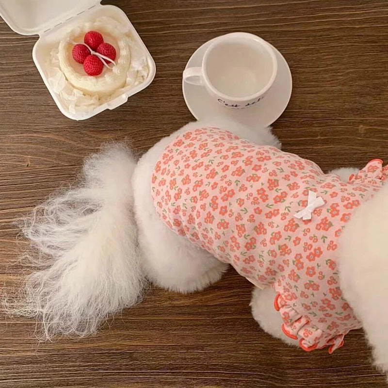 Small puppy, dog, cat vest