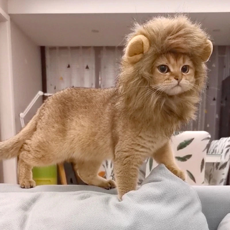 Cat Cosplay Dress Up Pet Hat Lion Mane