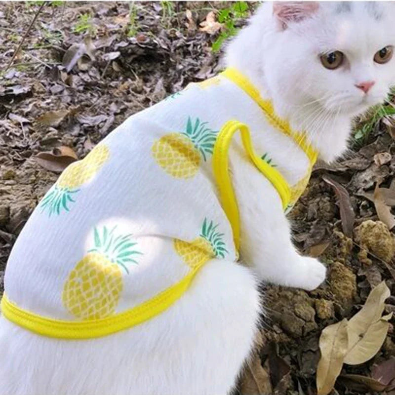 Sunscreen Clothes for Cats Summer