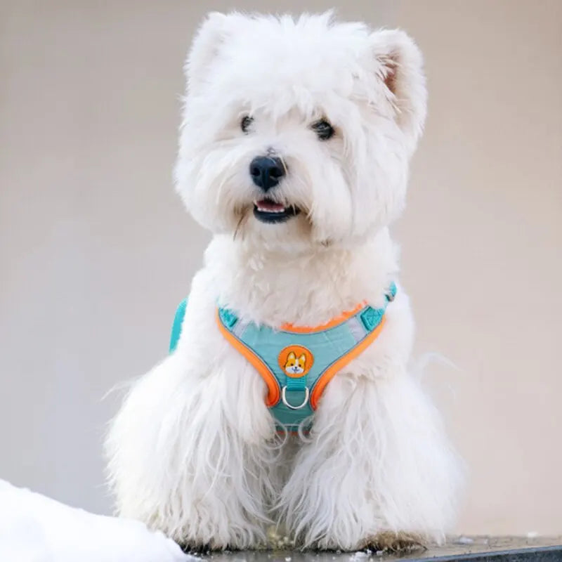 No Pull Pet Reflective Dog Harness