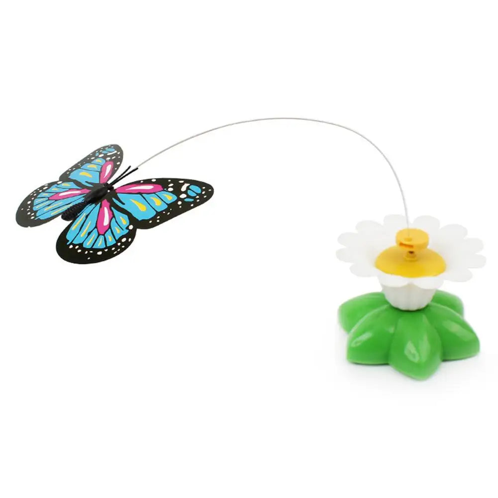 Electric Butterfly or Humming Bird Cat Toy