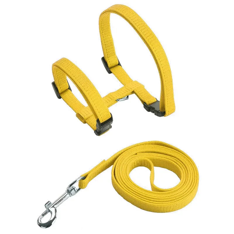 Escape-proof Small Dog Cat Harness Collar
