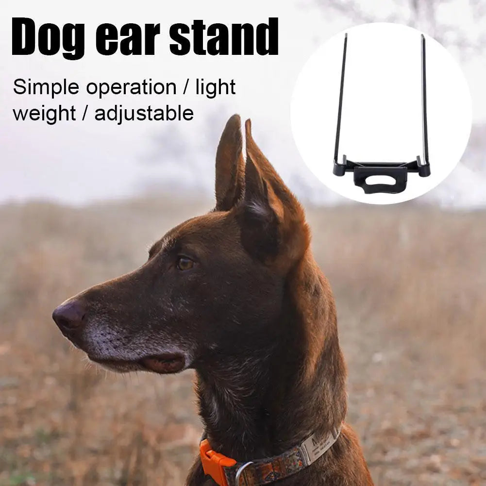 Dog Puppy Ear Care stand