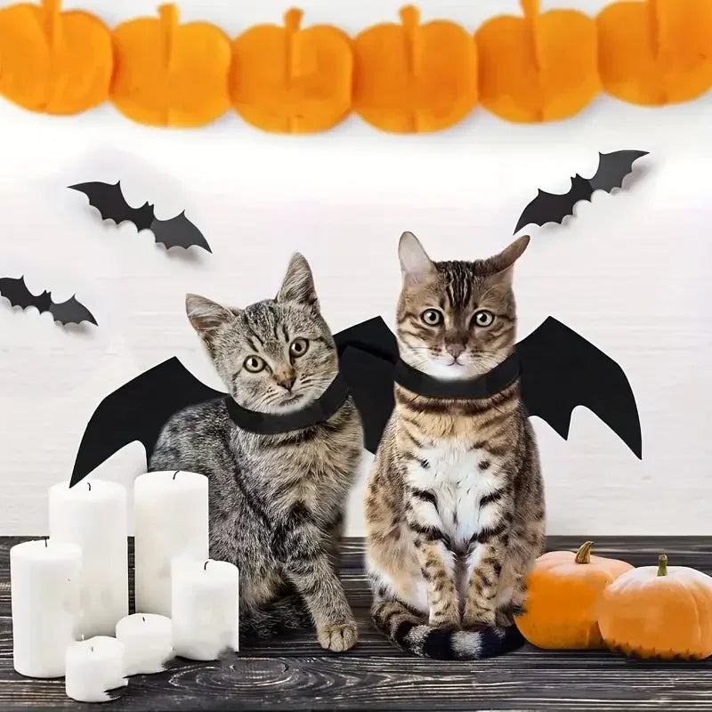 Halloween Pet Bat Wings Felt Costume