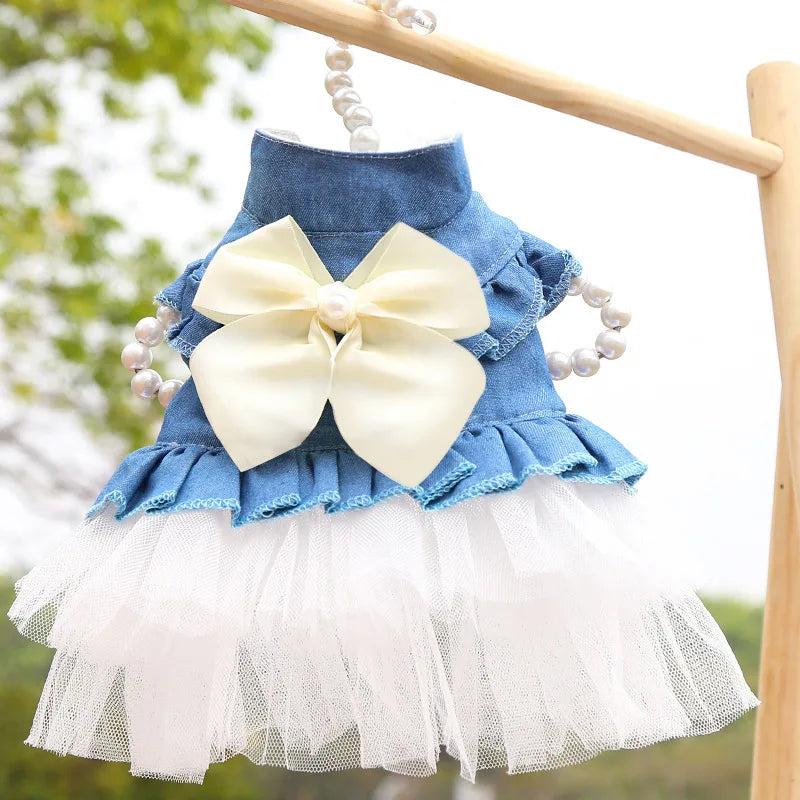 Denim Sphynx Cat Princess Dress