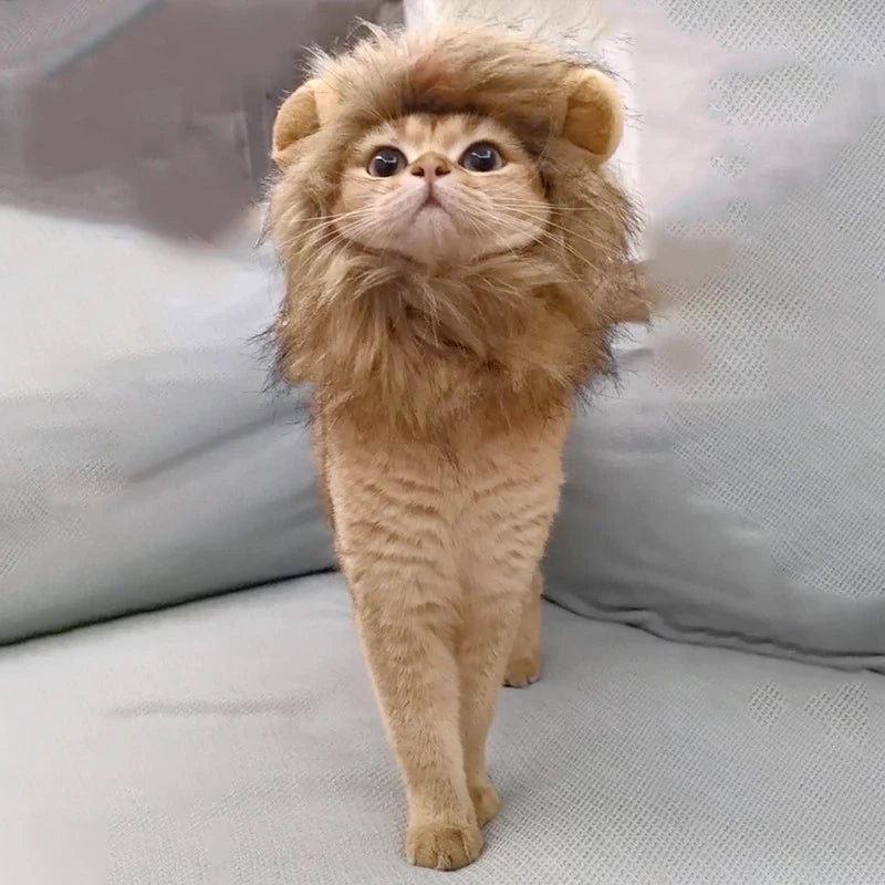 Cat Cosplay Dress Up Pet Hat Lion Mane