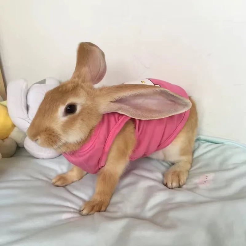 Pet Vest for Rabbit Cats