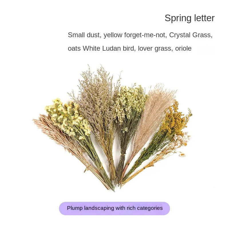 Secret Garden Series Natural Hamster Bedding