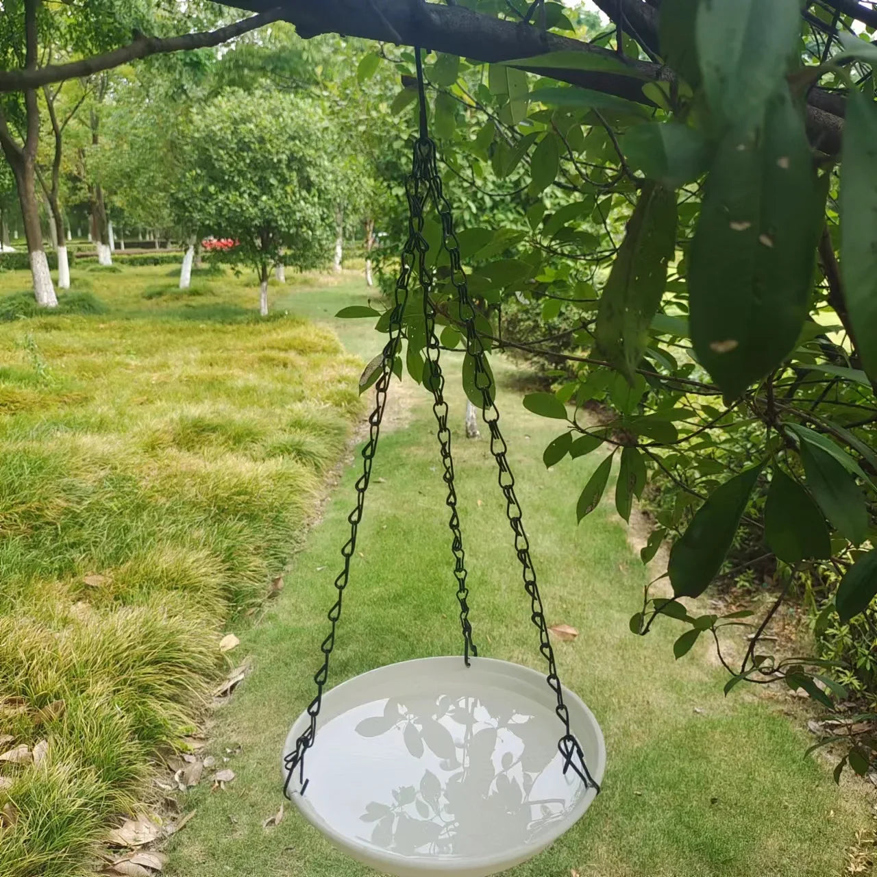 Hanging Bird Feeder, Water, Bath Tray