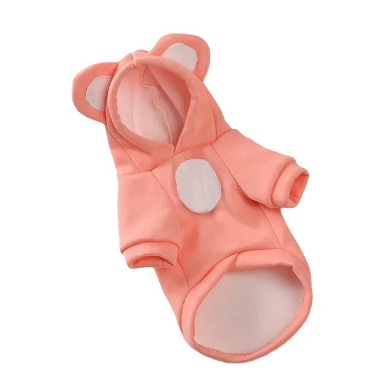 Cute Hairless Cat Clothes