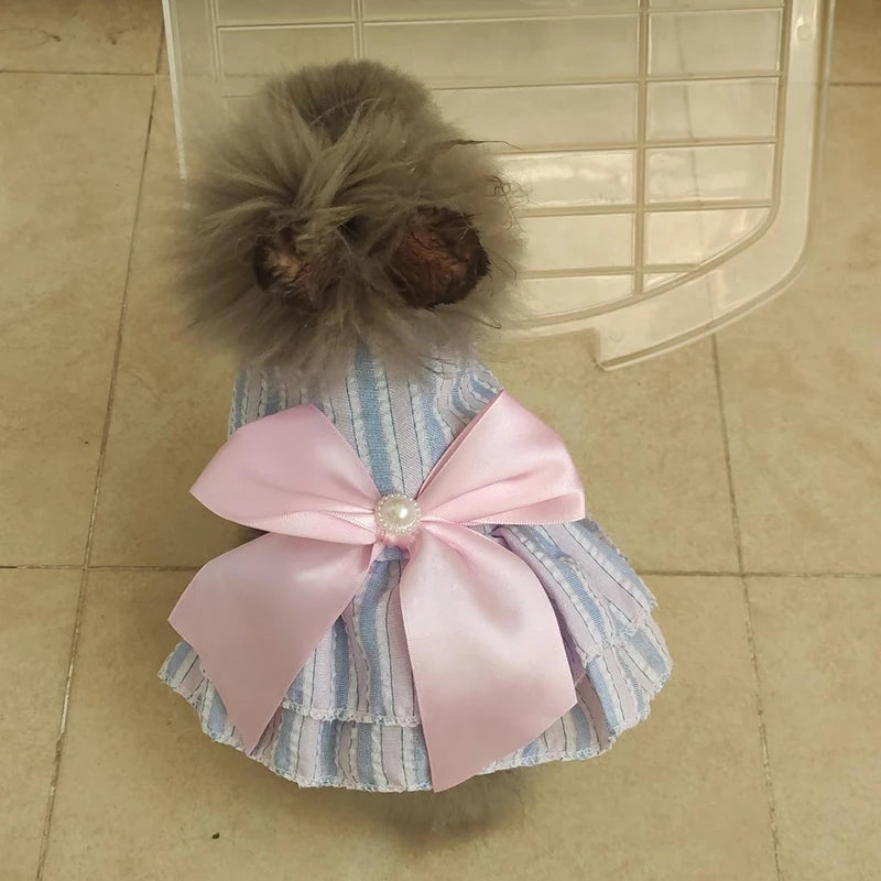 Spring Summer Stripe Sphynx Cat Bow Skirt