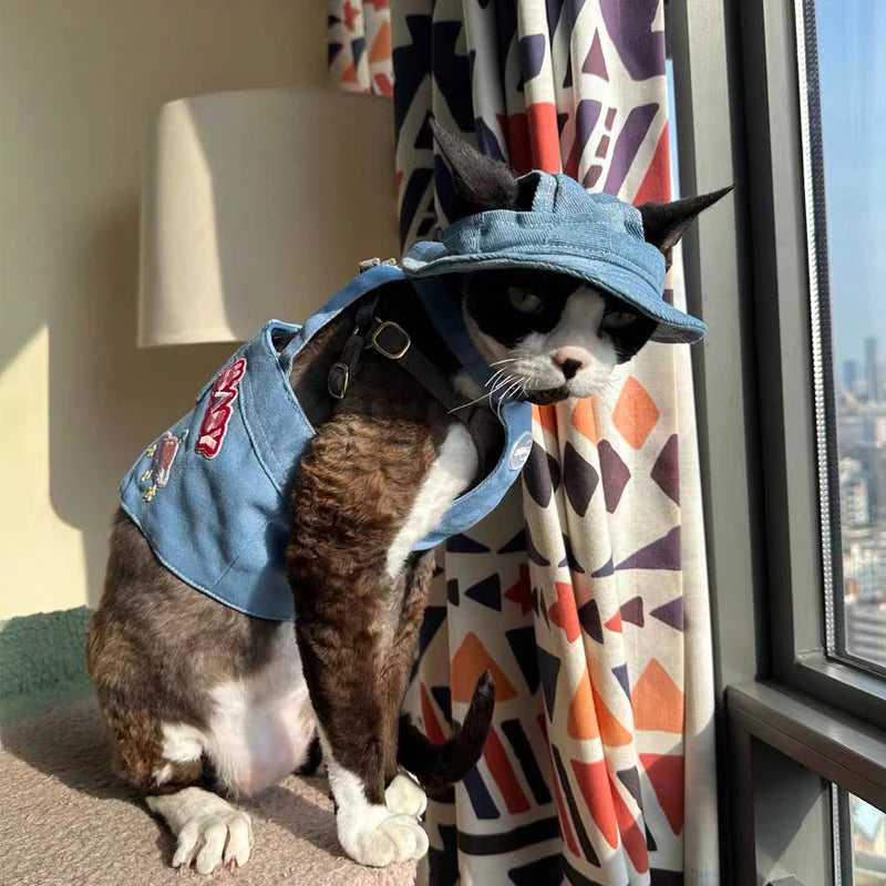 Fashion Cat hat Summer Sun Hats for Sphynx Kittens Open Ears Blue Cowboy Hats Adjustable Cap Cord for Devon Rex Cat Supplies