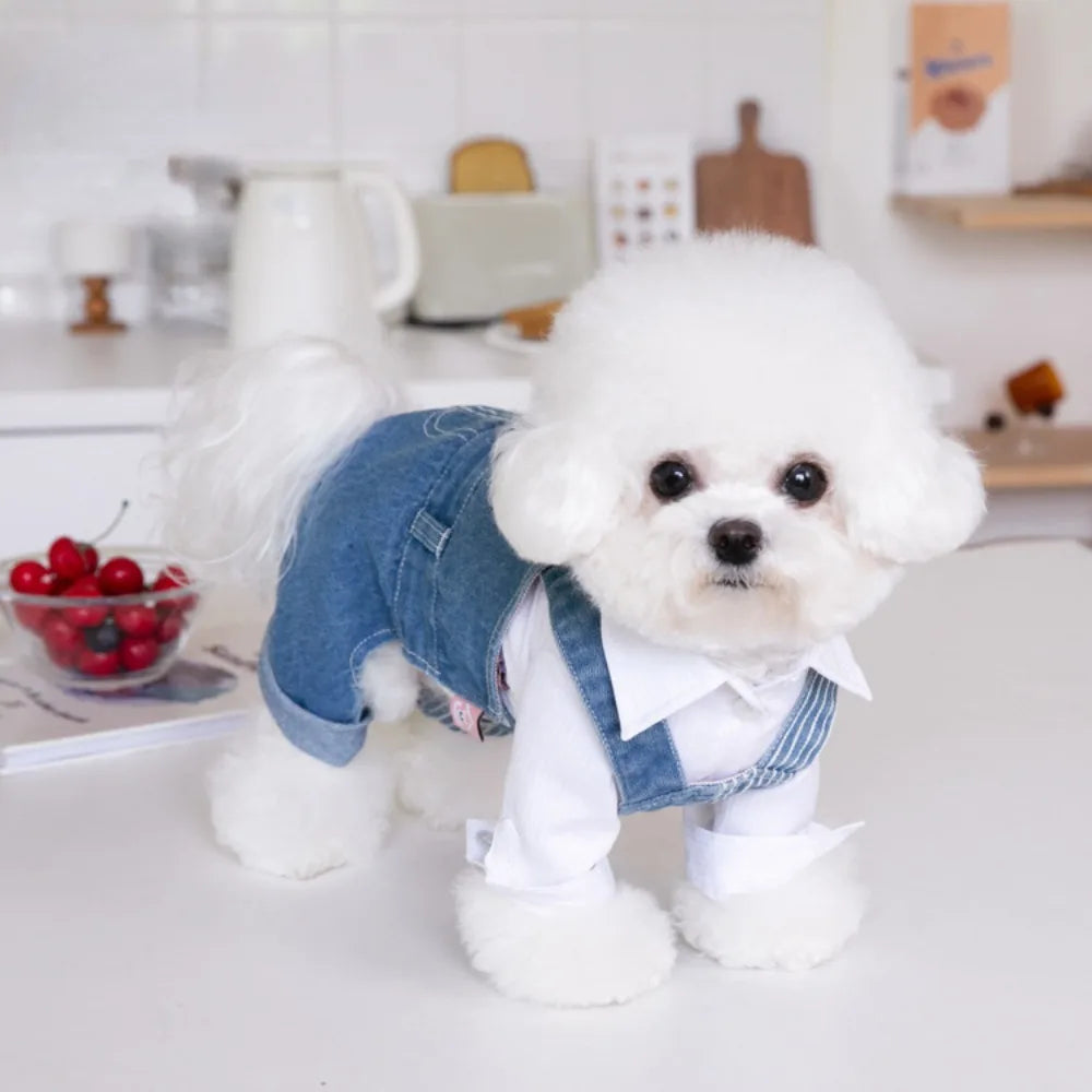 Pet Autumn Winter Striped Patchwork Denim Straps Dog Pants