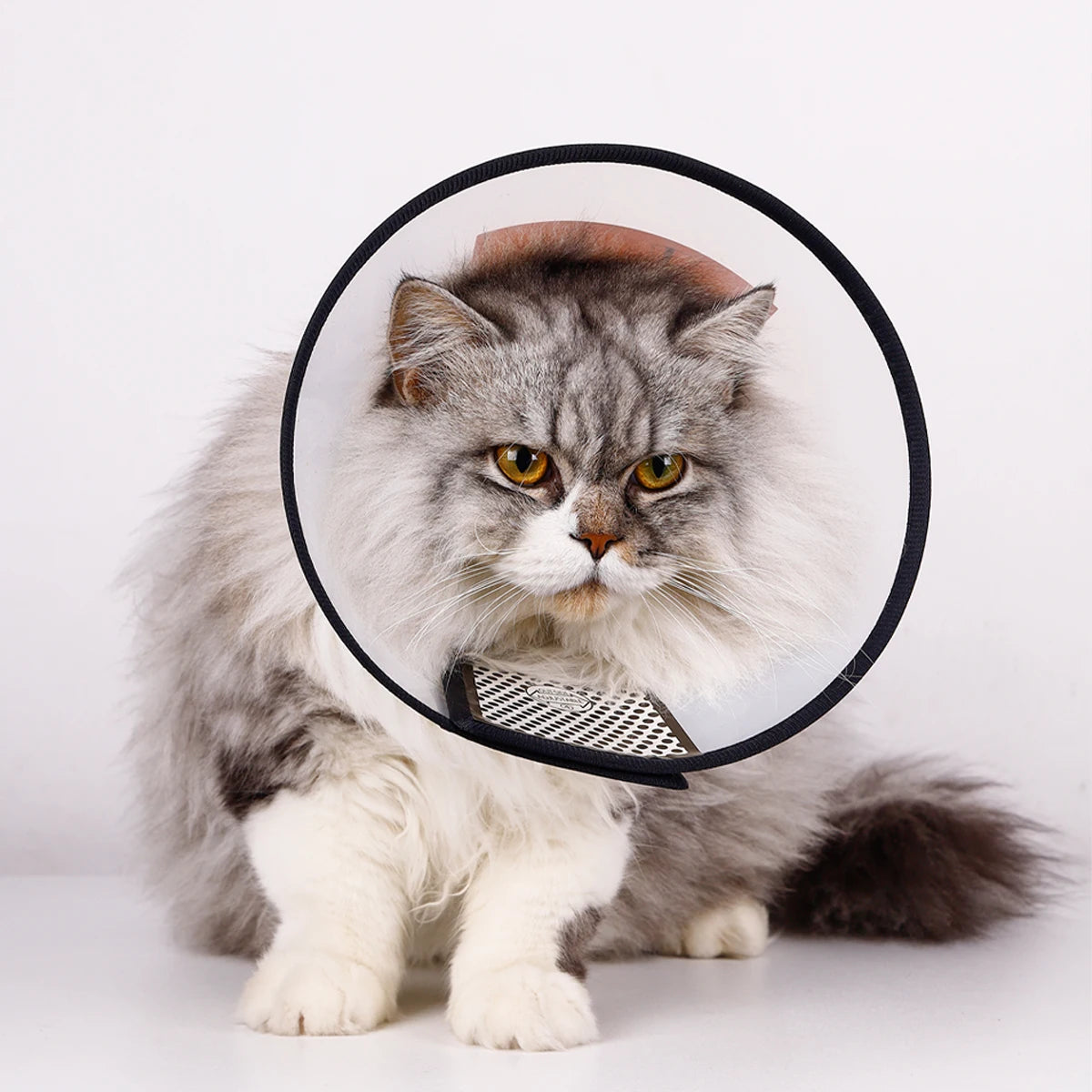 Elizabethan Collar for Dogs Comfy Cones to Stop Licking Protective Collar for Dog After Surgery Anti-Bite Lick