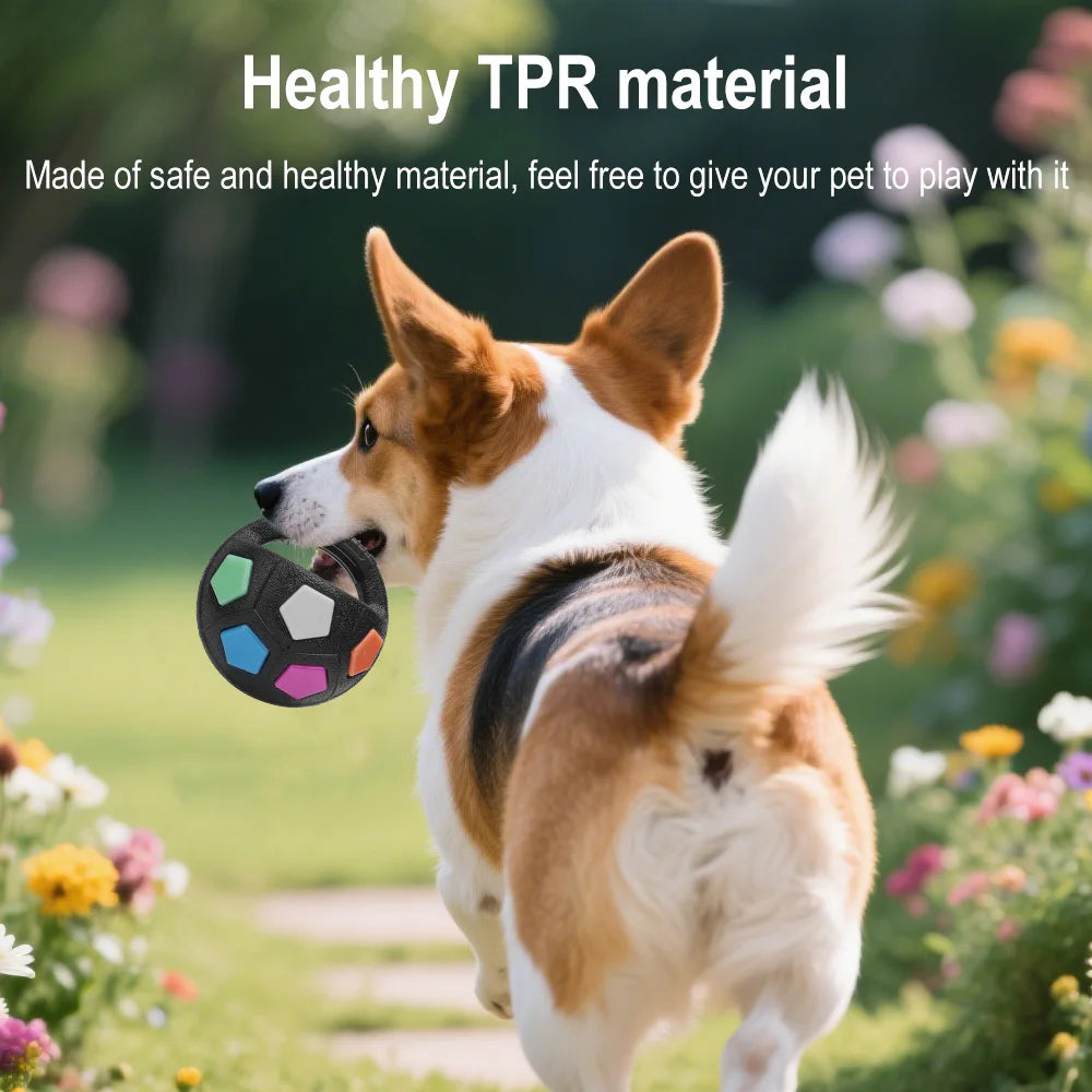 Pet Dog Toy Football Shape